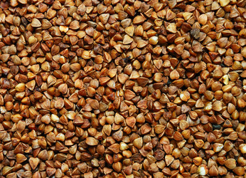 Similar image 1323703