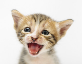 Similar image 1323720