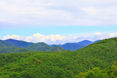 Similar image 1323741