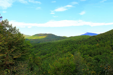 Similar image 1323742