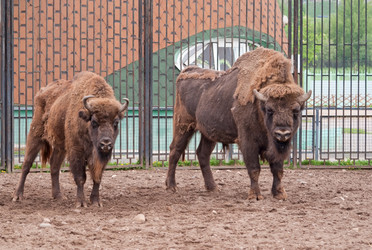 Similar image 1323747