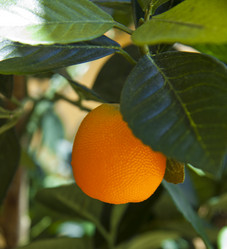 Similar image 1323748