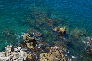 Similar image 1323750