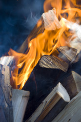 Similar image 1323806