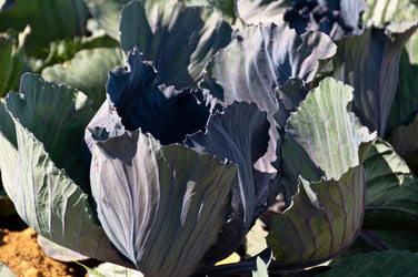 Similar image 1323812