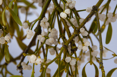 Similar image 1323825