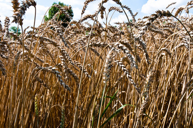 Similar image 1323828