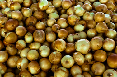 Similar image 1323832