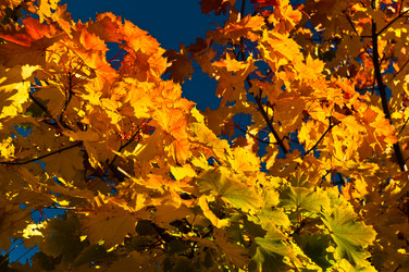 Similar image 1323834