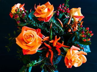 Similar image 1323835