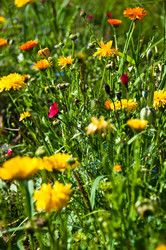 Similar image 1323841