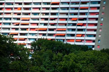 Similar image 1323842