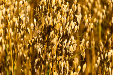 Similar image 1323843