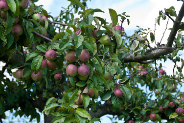 Similar image 1323844