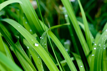 Similar image 1323884