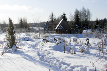 Similar image 1323886