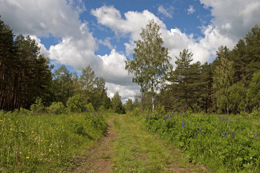 Similar image 1323968