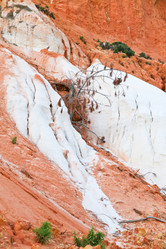 Similar image 1324352