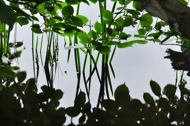 Similar image 1324413