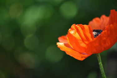 Similar image 1324415