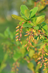 Similar image 1324416