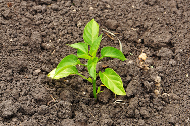 Similar image 1324418