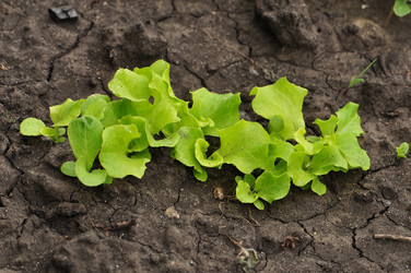 Similar image 1324419