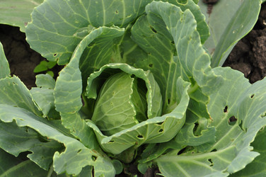 Similar image 1324421