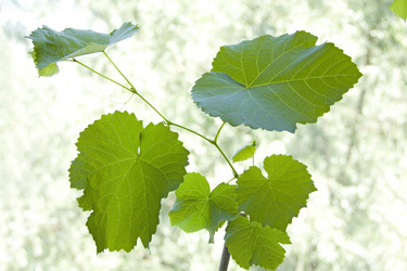 Similar image 1324428