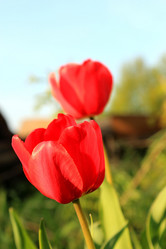 Similar image 1324437