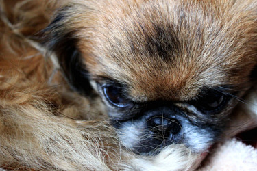 Similar image 1324438