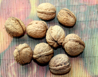 Similar image 1324441