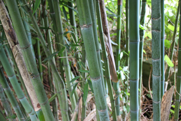 Similar image 1324444