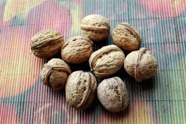 Similar image 1324446