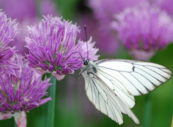 Similar image 1324473