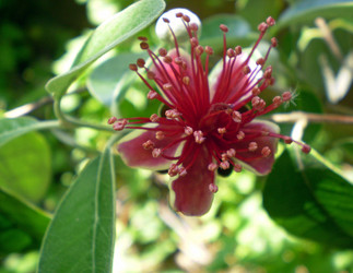 Similar image 1324476