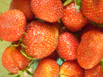 Similar image 1324480