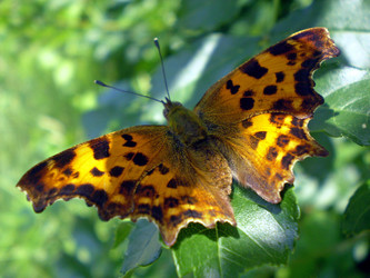 Similar image 1324482