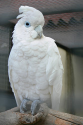 Similar image 1324516