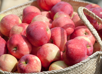 Similar image 1324522