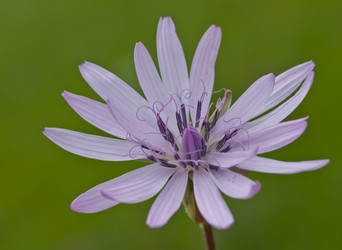 Similar image 1324524