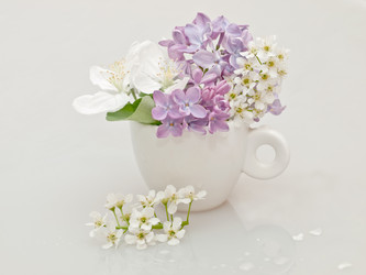 Similar image 1324525