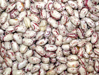 Similar image 1324535