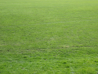 Similar image 1324536