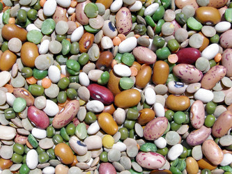 Similar image 1324567