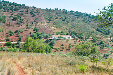 Similar image 1324677