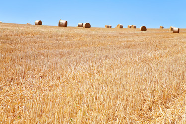 Similar image 1324678