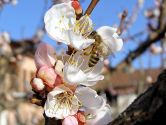 Similar image 1324690