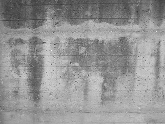 Similar image 1324700