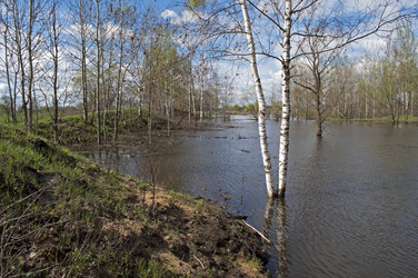 Similar image 1325168